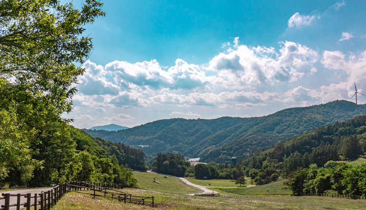 대관령 하늘목장