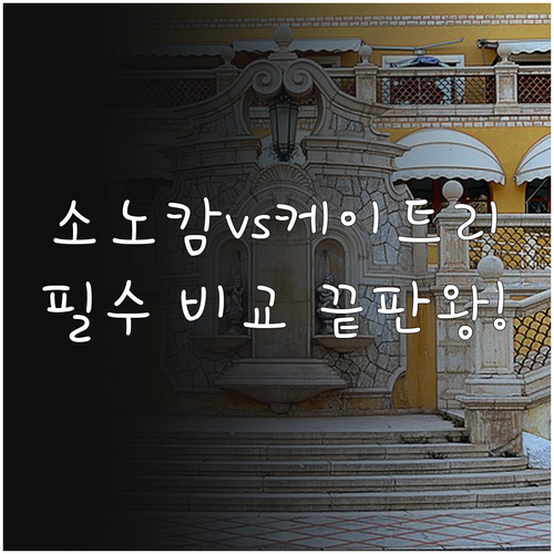 소노캄 고양 및 킨텍스 바이 케이트리..