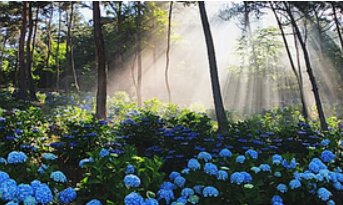 윤제림 입장료 및 주자정보