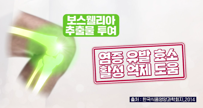 보스웰리아 효능