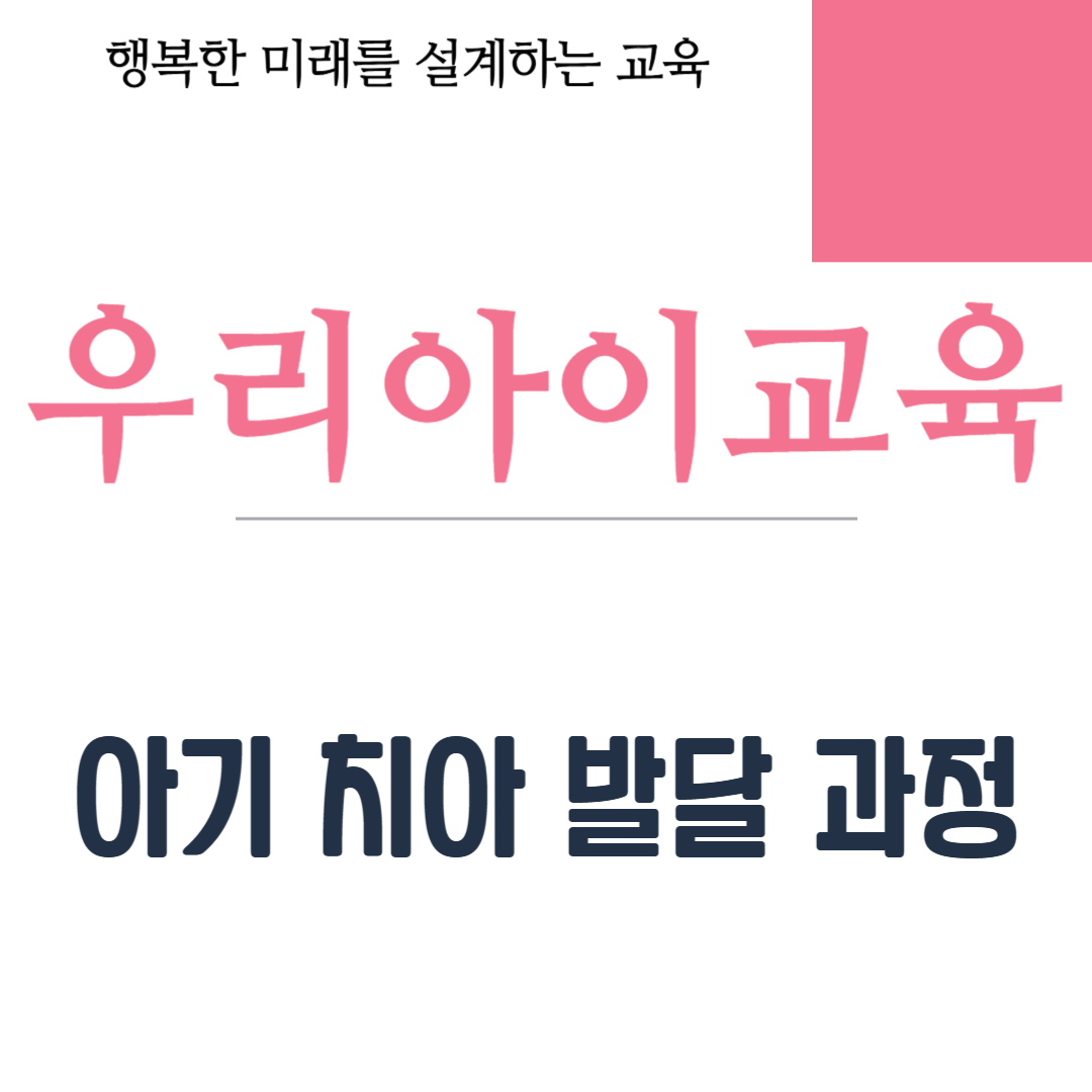 아기 치아 발달 과정