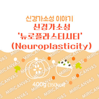 신경가소성 로고