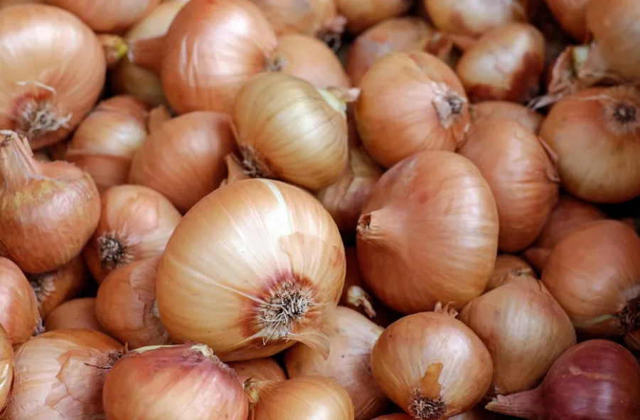 더운 여름철 채소 보관 방법 - 6