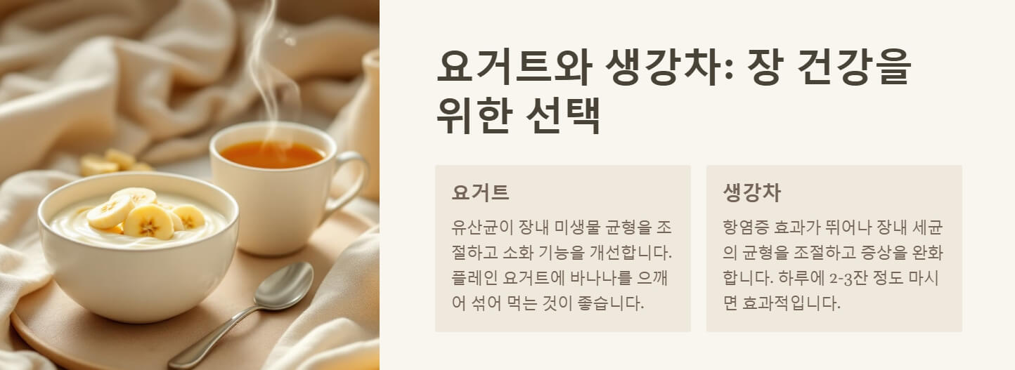 설사에 좋은 음식