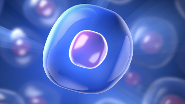 조혈모세포-기증-혜택