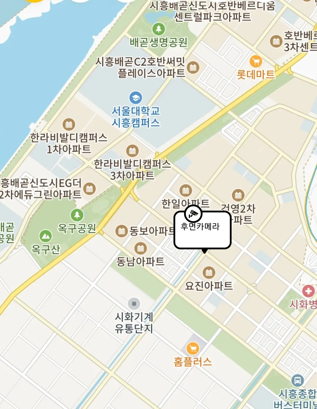 시흥시 정왕동 시화병원 사거리 후면 단속 카메라 설치 위치