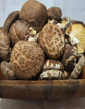 오늘N 가족이 뭐길래 솔향 가득 자연이 키운 마니네농장 유기농표고버섯