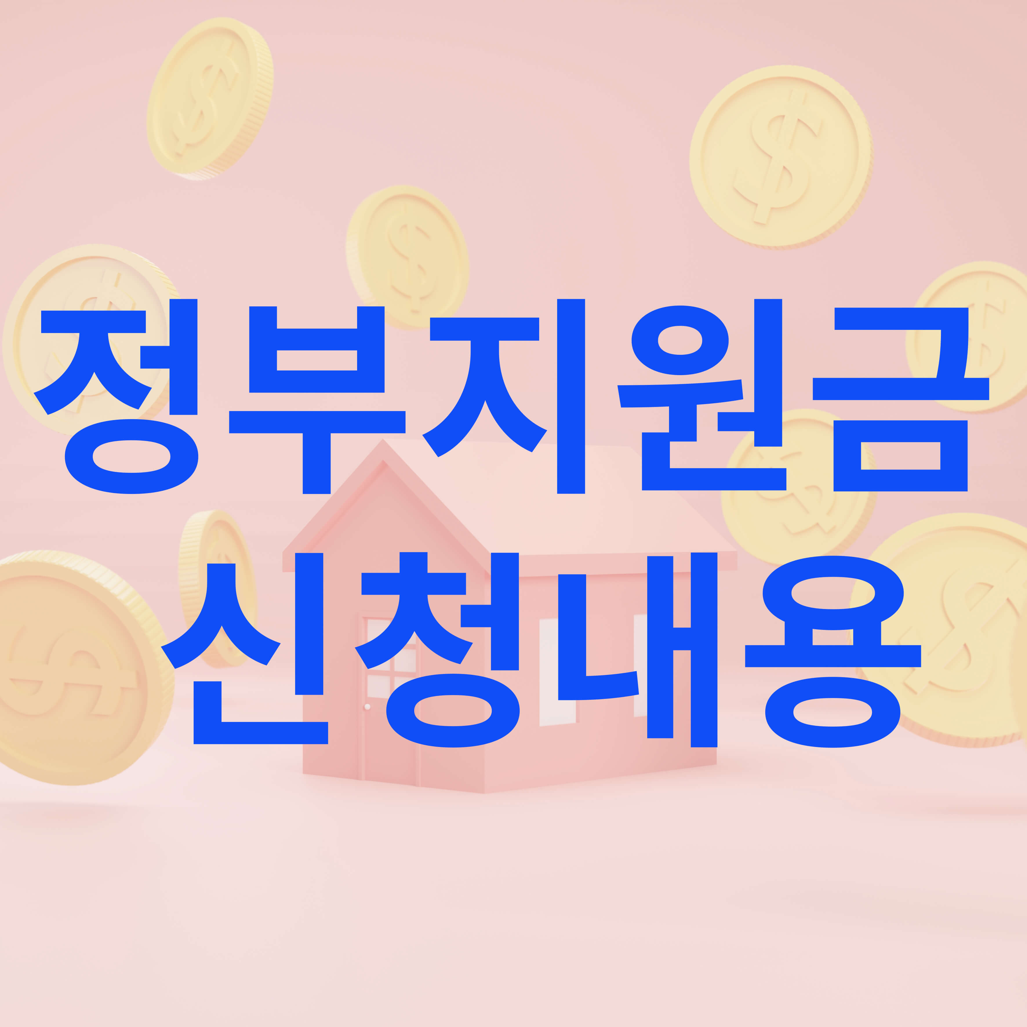 정부지원금 신청내용