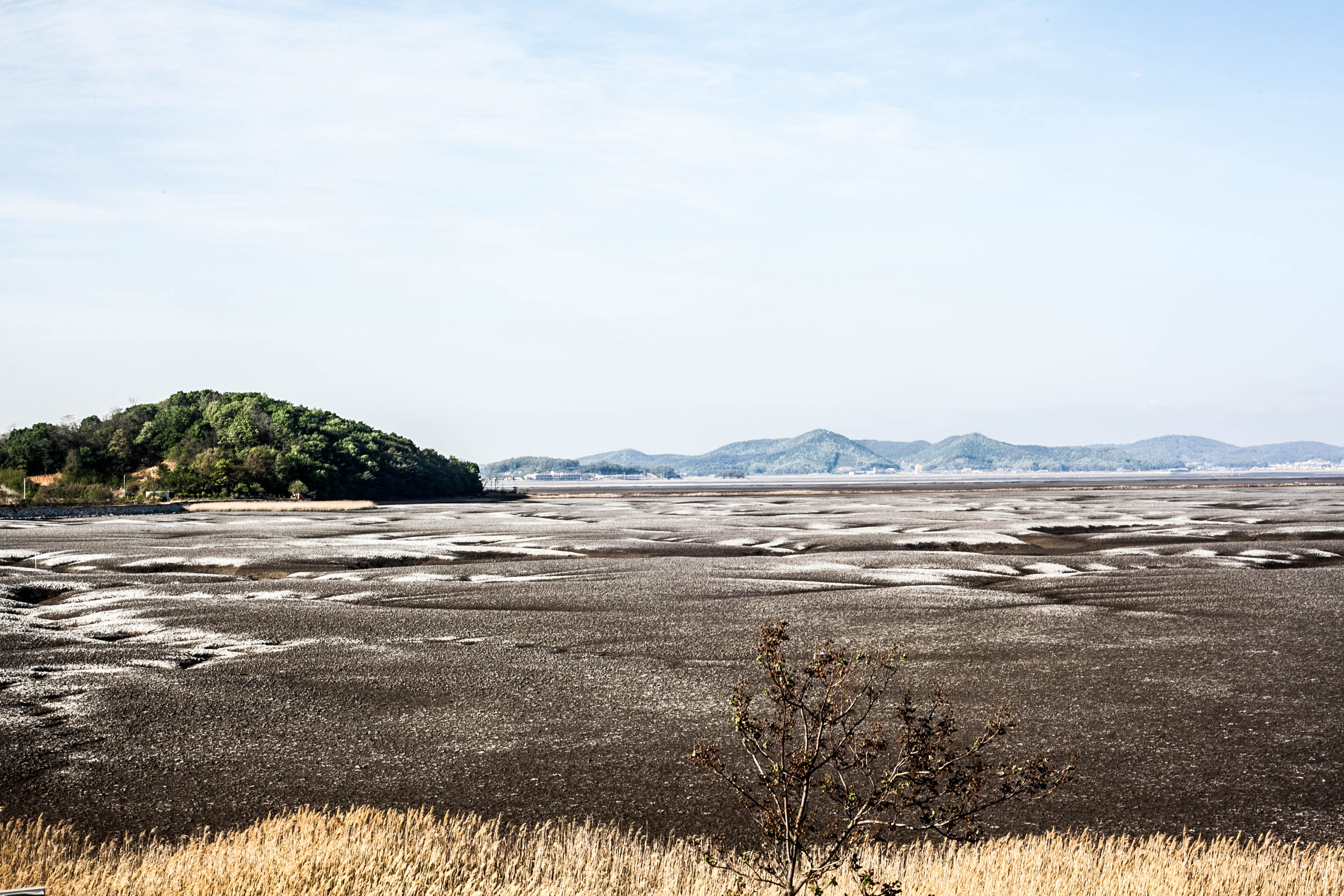 2025년 가장 핫한 카메라 렌즈 5가지