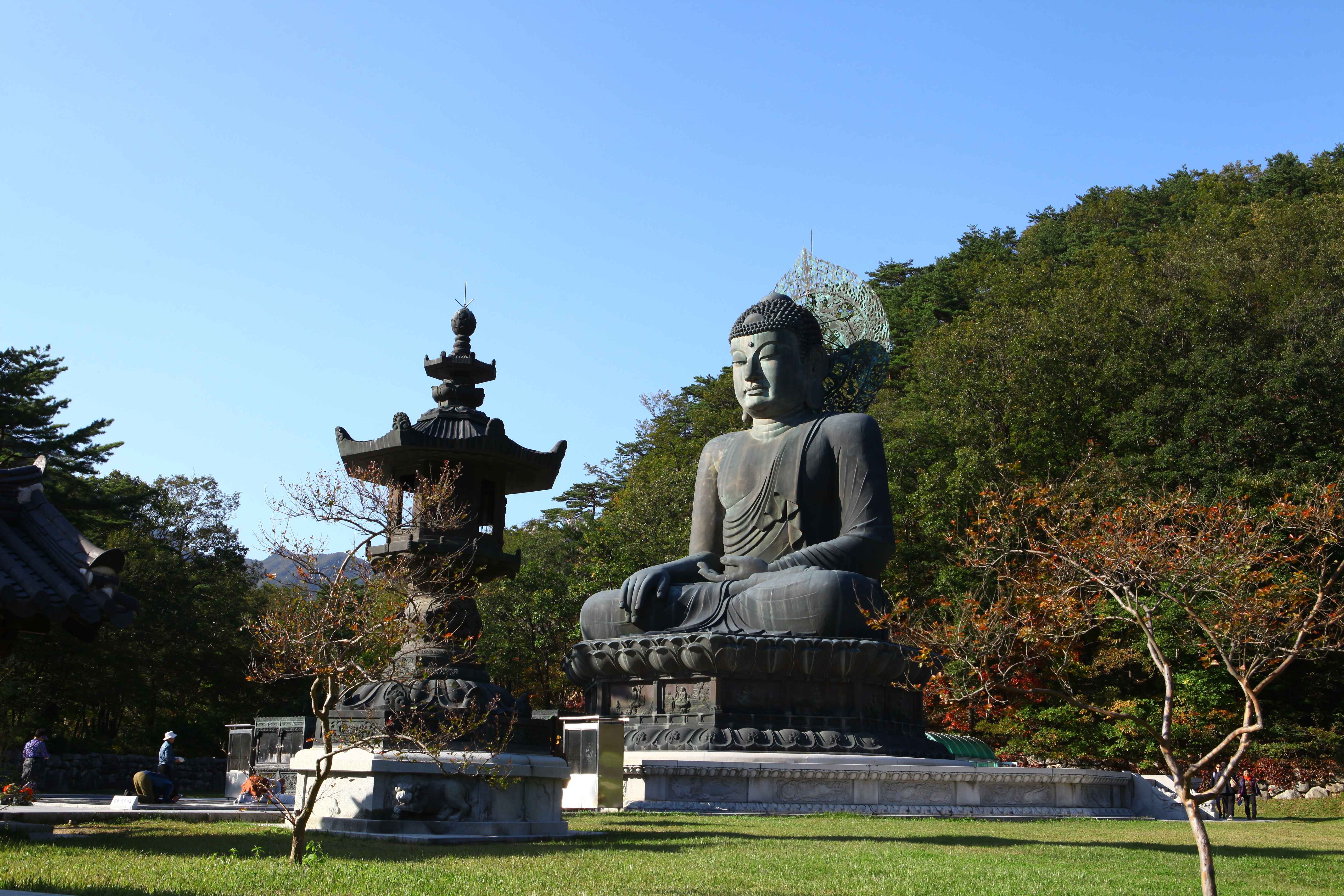 속초-가볼만한곳-추천-신흥사