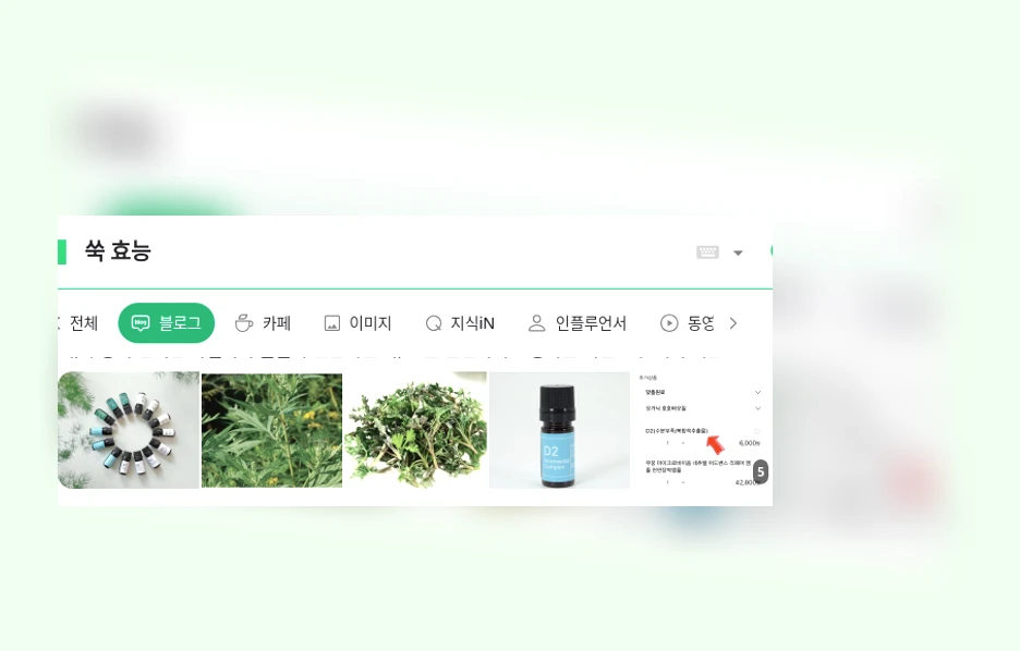 쑥 효능_1_subsection