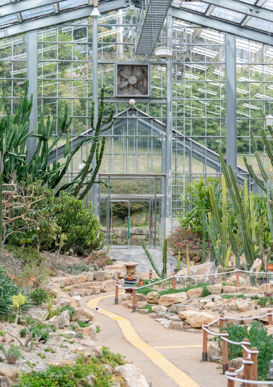 완도수목원 관람 가이드 ❘ 이용 정보·계절별 포인트·추천 산책 루트 총정리