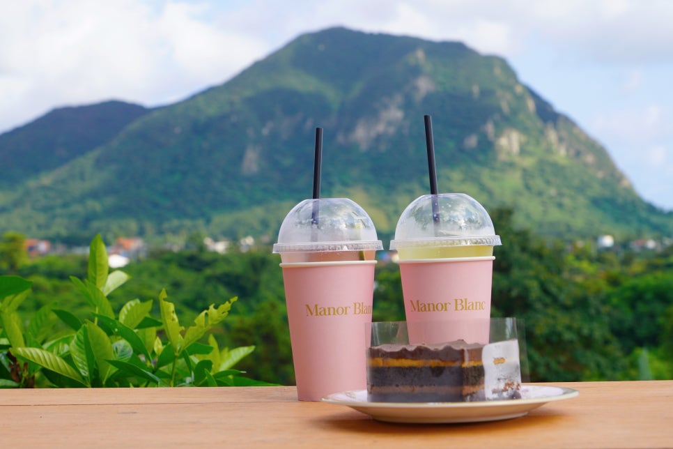 제주 핑크뮬리 명소 마노르블랑