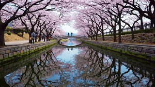 봄 하면 떠오르는 노래, 마음을 설레게 하는 명곡들