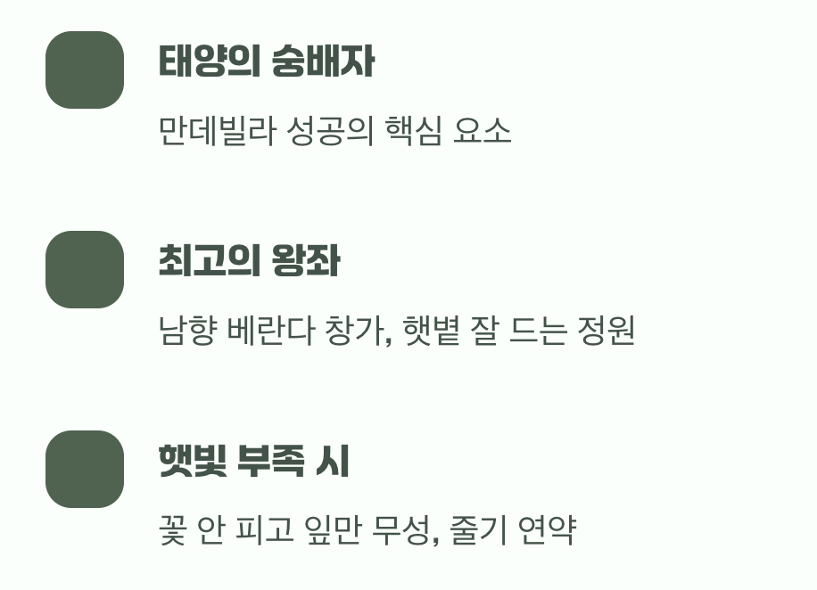 여왕의 왕좌, 햇빛이 최고의 보약