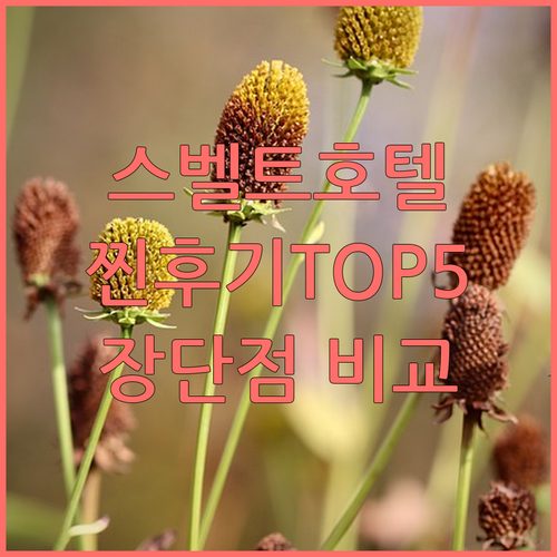 스벨트 호텔 & 퍼스널 스위트 TOP