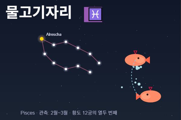 2026년 물고기 자리 운세