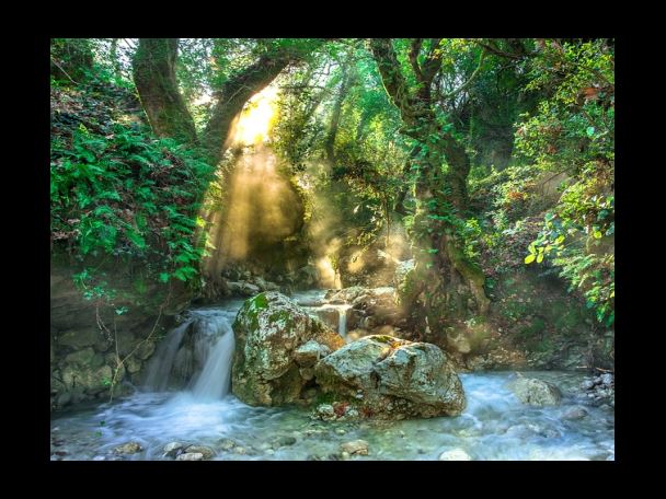토마토 효능 네 번째 - 혈관 건강