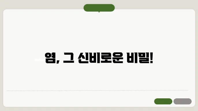 염의 표상