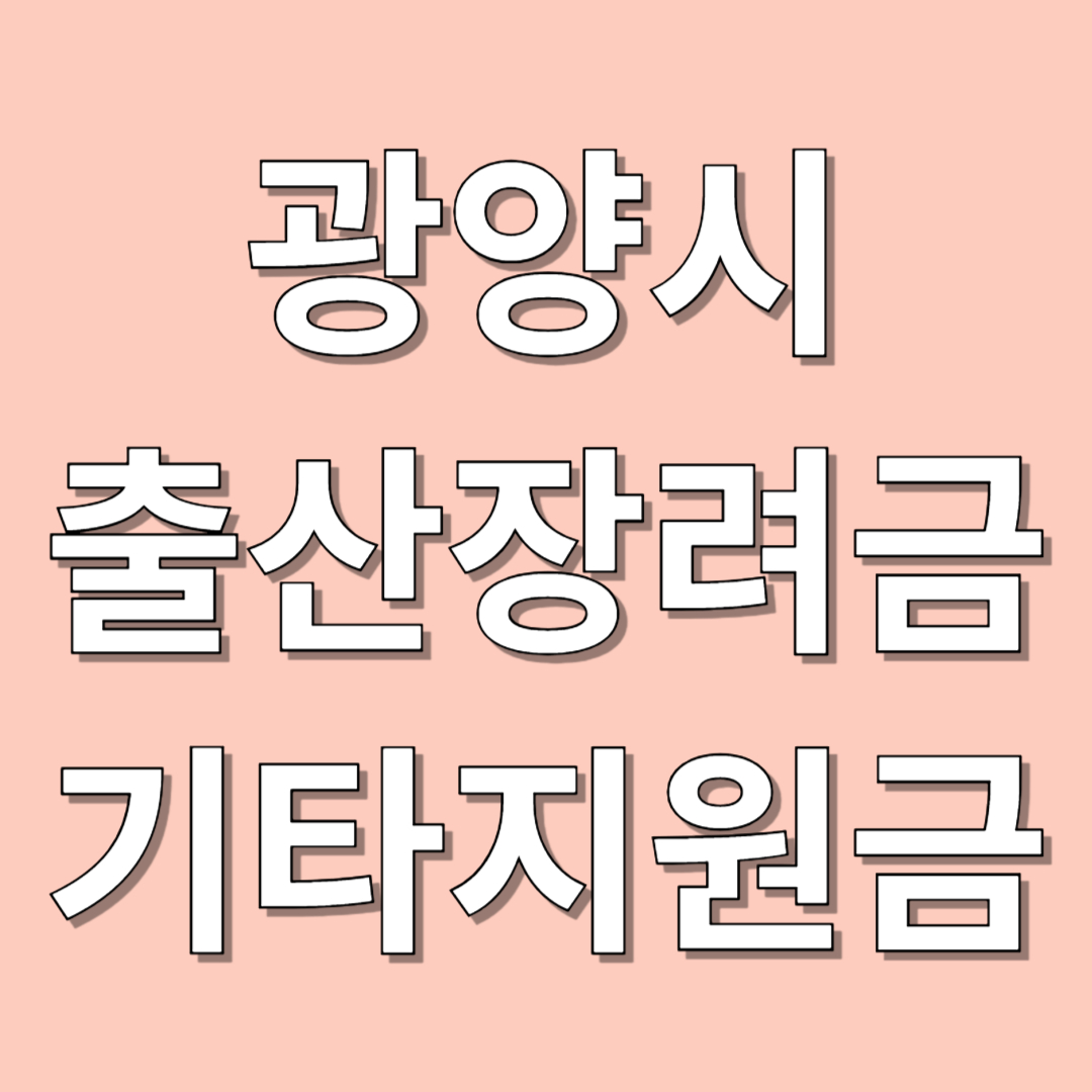 광양시 출산장려금 기타지원금