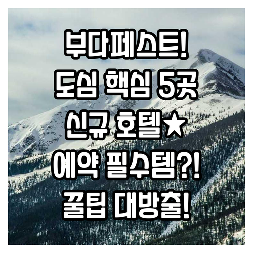부다페스트 숙소 예약 필수 도심 접근..