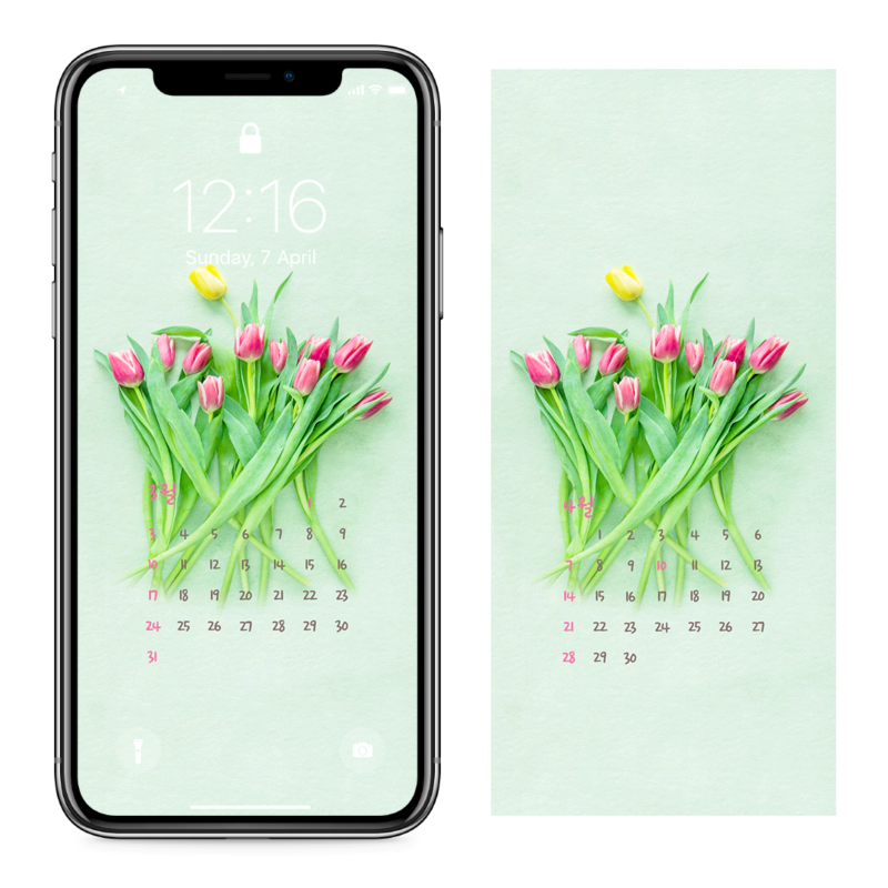 02 튤립 꽃 AB - 2024년3월 아이폰달력배경화면