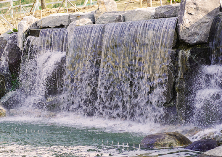 가평 베고니아 새정원