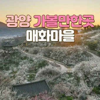 광양 가볼만한곳 추천 맛집 카페 실내 BEST 10_11