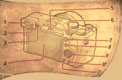 카메라 뒷 부분의 명칭(ILCE-7C, &amp;alpha;7C, A7C)