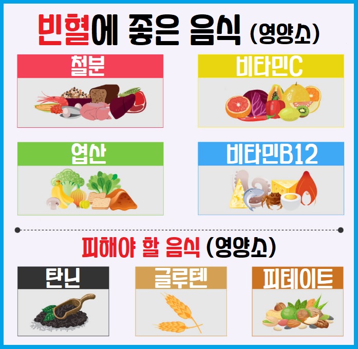 빈혈에 좋은 음식 영양소 빈혈에 피해야 할 음식 영양소