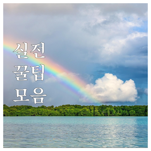 자양동 대형폐기물 품목별 수수료부터 ..