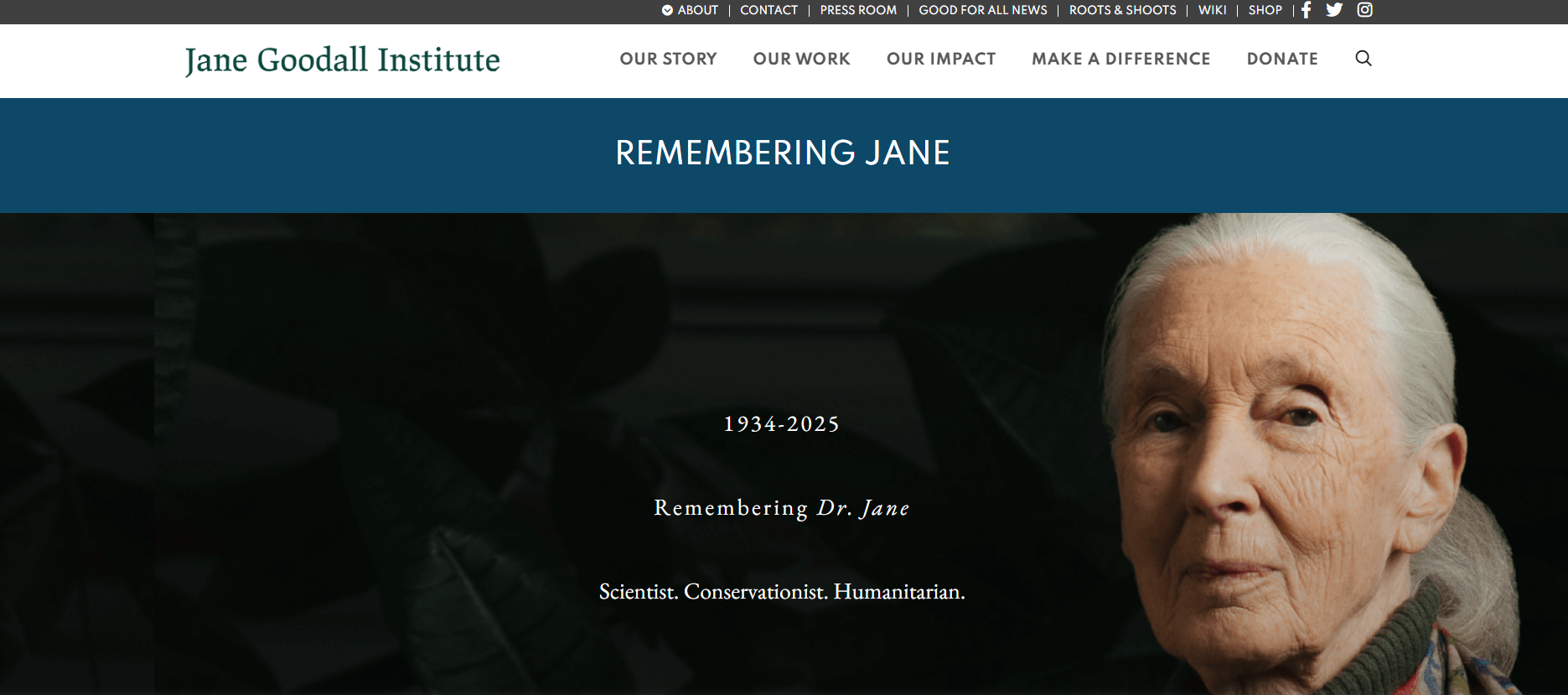 제인구달은 누구인가? 업적과 영향 그리고 사망(Jane Goodall, 제인구달 프로필, 제인구달 업적, 제인구달 사망, 제인구달 죽음, 침팬지 어머니, 동물행동학 박사, 동물보호 활동가)