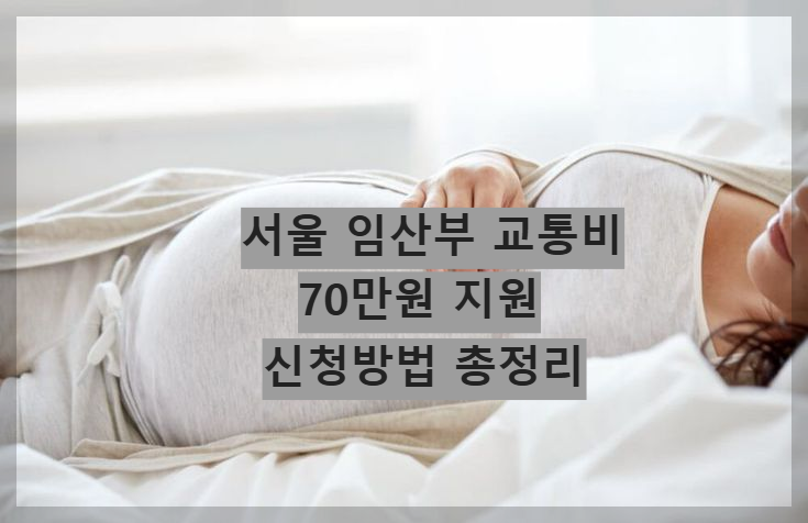 서울 임산부 교통비 70만원 지원