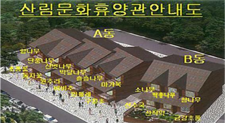 유명산 자연휴양림