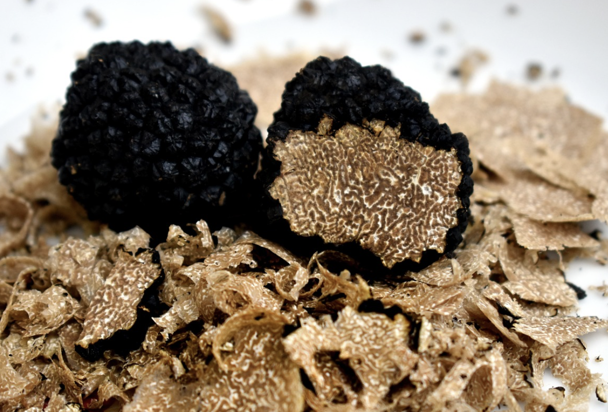 트러플 소금·트러플 오일의 원재료, 생 트러플 – 실제 버섯 그대로를 다루는 방법