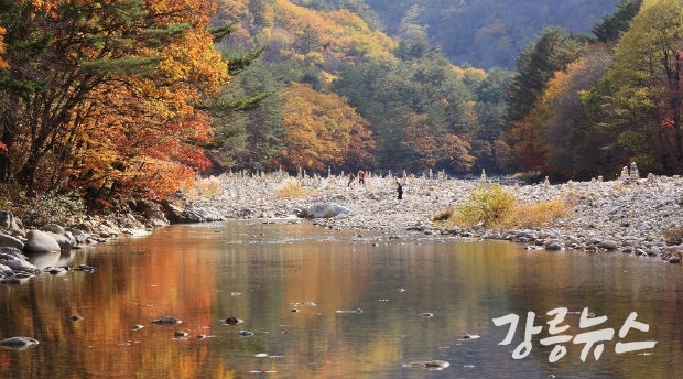 내린천 래프팅 체험