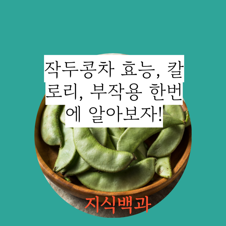 작두콩차 효능, 칼로리, 부작용 한번에 알아보자!