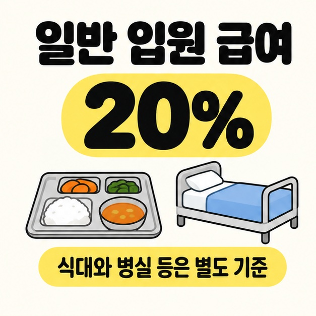 일반 입원 급여 20%라는 문구와 큰 숫자 아래 식판과 병실 침대를 배치하고 식대와 병실 등은 별도 기준이라고 설명한 그림