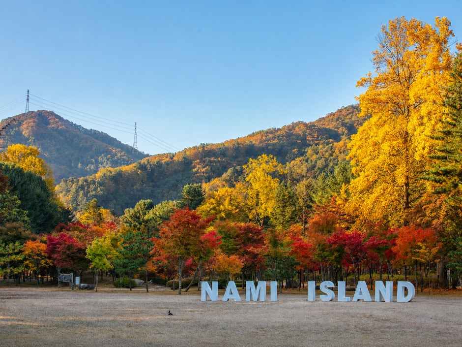 단풍명소, 가을여행, 5060여행, 무릎편한단풍명소, 화담숲, 문광저수지은행나무길, 내장산단풍생태공원, 남이섬, 운곡서원, 은행나무명소, 2026단풍, 단풍절정시기, 어르신단풍여행, 국내가을여행지, 2026단풍절정예측, 산림청단풍예측, 화담숲예약, 화담숲모노레일, 문광저수지주차, 양곡은행나무축제, 내장산단풍시기, 남이섬입장료, 남이섬주차, 운곡서원은행나무, 경주은행나무명소, 단풍여행코스, 단풍여행준비물, 부모님단풍여행, 무료단풍명소, 황금길가이드