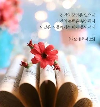 디모데후서 3장 16절 해석 - 모든 성경은 하나님의 감동으로 된 것으로_3