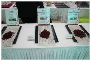 작물 선발 사진