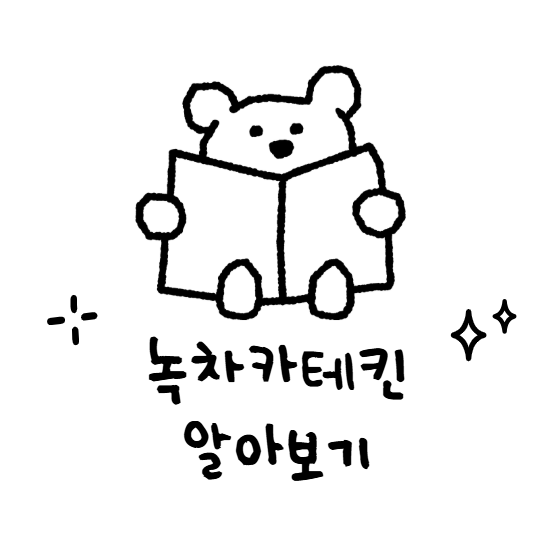 녹차카테킨, 지방을 태우고 몸을 깨우는 다이어트 핵심 성분