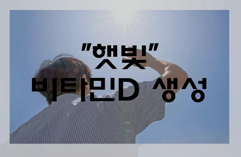 햇빛 비타민d 보충