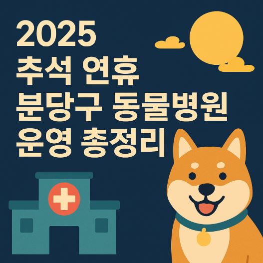 2025 추석연휴 분당구 동물병원 운영 총정리