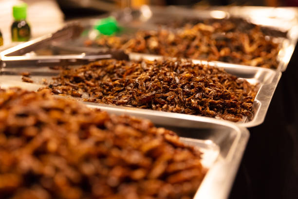 아프리카와 곤충 식용의 생활 방식