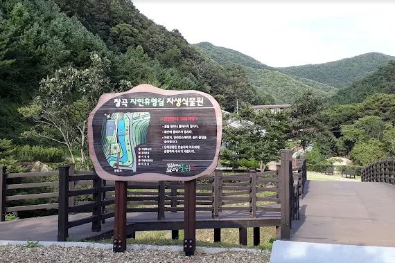 장곡자연휴양림