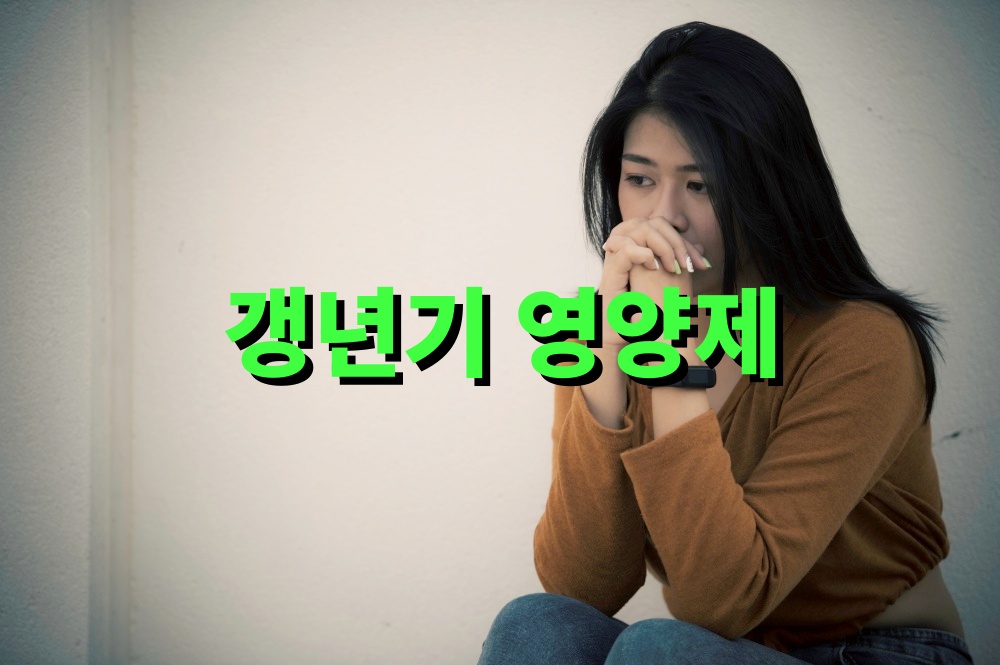 갱년기 영양제 비교 선물 오메가3