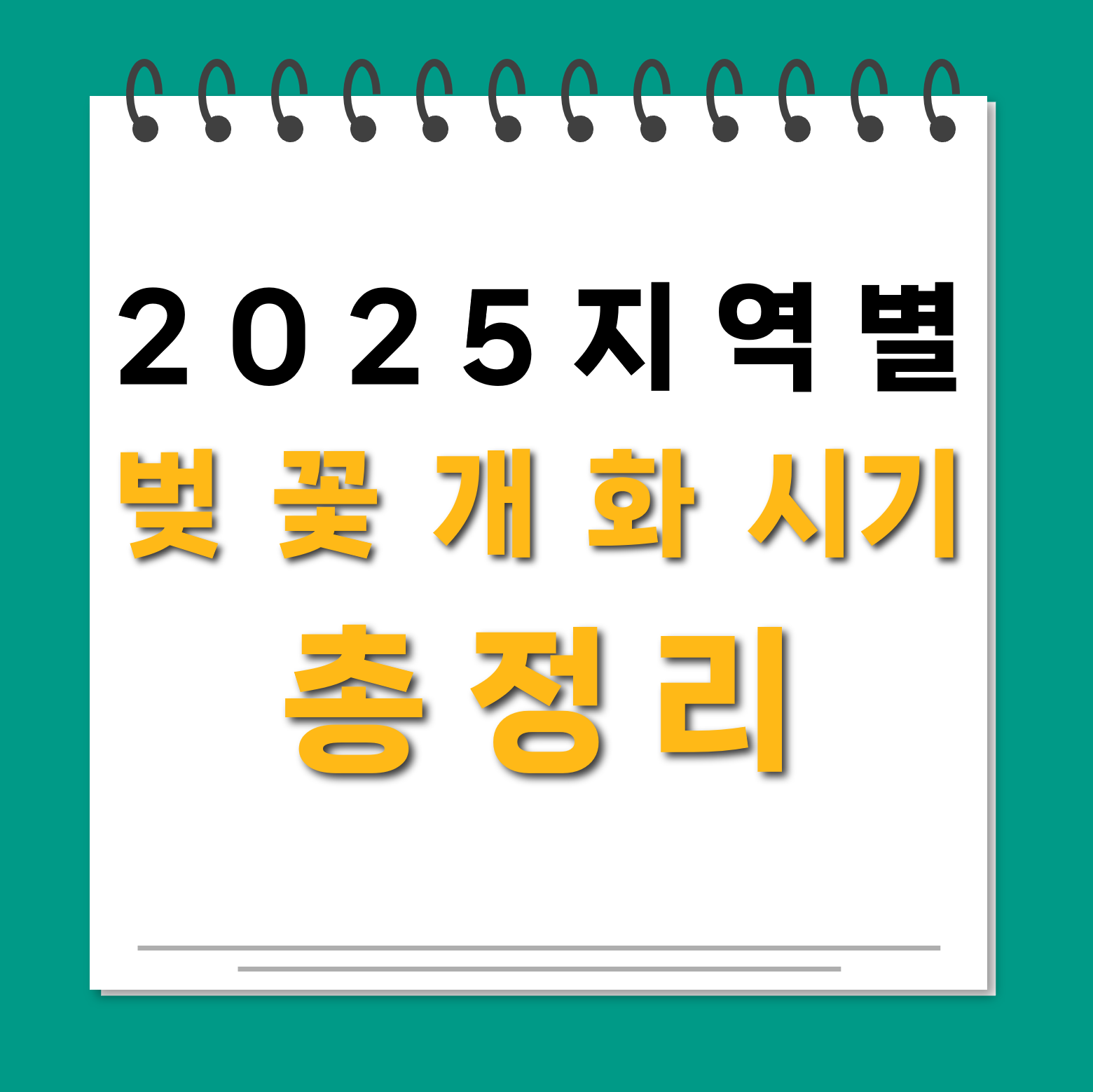 2025 벚꽃 개화시기 대표사진
