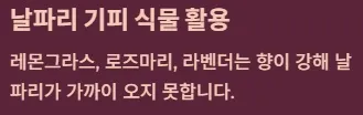 화장실 날파리 없애는법 - 예방 생활습관 : 날파리 기피 식물 활용