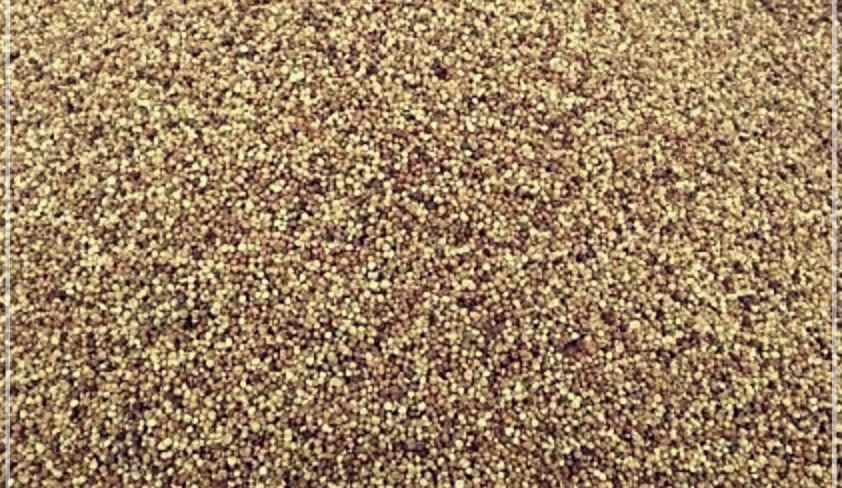 토사자의 효능: 건강을 지키는 자연 치료제